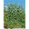 Gardeners Supply Company Tall Expandable Pea Trellis For Climbing Plants Outdoor | Sturdy Upright Garden Trellis For Vines, Tomatoes, Peas & Other Live Plants Support | 9'-3" L X 64" H Installed Steel - Red - Gardener's Supply Company