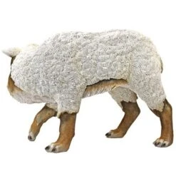 Design Toscano Wolf In Sheep's Clothing Garden Statue 5 Design Toscano Wolf In Sheep's Clothing Garden Statue -Northlight Shop GUEST 2e461e35 7d64 4b2a b982 842002cb0a05