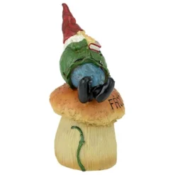Design Toscano Gnome Frog House Garden Statue - Multicolored 6 Design Toscano Gnome Frog House Garden Statue - Multicolored -Northlight Shop GUEST 372dd6eb 8f77 40ec 982b befa8d2115cc