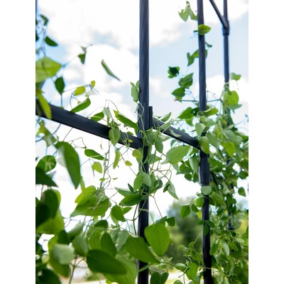 Gardener's Supply Company | Titan Half Arch | Decorative Garden Arch For Backyard, Patio, Courtyard | Durable Weatherproof Steel Support For Climbing 3 Gardener's Supply Company | Titan Half Arch | Decorative Garden Arch For Backyard, Patio, Courtyard | Durable Weatherproof Steel Support For Climbing - Image 3