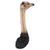 Design Toscano Ostrich Bird Trophy Wall Sculpture