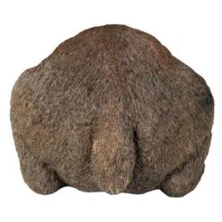 Design Toscano Catch Of The Day Grand Bear Sculpture 11 Design Toscano Catch Of The Day Grand Bear Sculpture -Northlight Shop GUEST 3deb25bd 58cd 4e56 9d06 0e921a05ef61