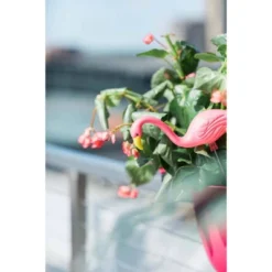 2pk - 11" Mini Mingo - Bloem -Northlight Shop GUEST 6221b8d6 b773 45ff 8395 9b641cd25fd3