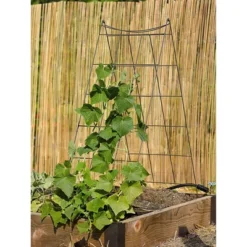Gardeners Supply Company Wire A-Frame Trellis | Strong And Sturdy Metal Outdoor Garden Trellis Plant Support For Cucumbers, Squash, Vine Herbs &
