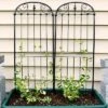 Sunnydaze Decor Sunnydaze Metal Wire Traditional Garden Trellis For Climbing Plants And Flowers - 32" H - Black - 2-Pack