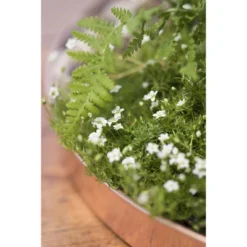 Gardener's Supply Company Large Round Copper Plant Tray | 14 Inches, For Decorative Indoor Plant Flower Succulent Display