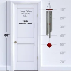 Encore Silver -Northlight Shop GUEST 751038fe 7fb8 4705 9661 e6ef71eb92c8