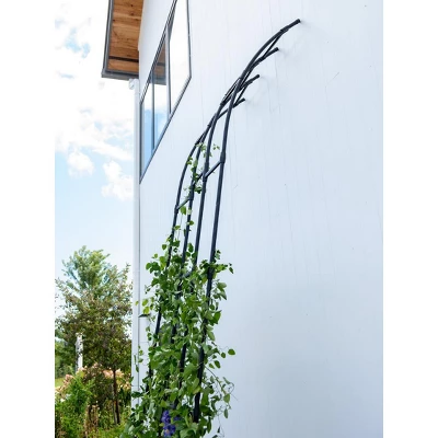 Gardener's Supply Company | Titan Half Arch | Decorative Garden Arch For Backyard, Patio, Courtyard | Durable Weatherproof Steel Support For Climbing 1 Gardener's Supply Company | Titan Half Arch | Decorative Garden Arch For Backyard, Patio, Courtyard | Durable Weatherproof Steel Support For Climbing