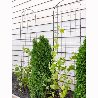 Gardeners Supply Company Jardin Flower Trellis | Sturdy Tall Garden Trellis For Climbing Plants, Clematis & Other Vine Flowers | Easy To Install 2 Gardeners Supply Company Jardin Flower Trellis | Sturdy Tall Garden Trellis For Climbing Plants, Clematis & Other Vine Flowers | Easy To Install - Image 2
