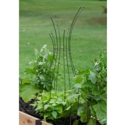 Gardener's Supply Company Decorative Metal Pot Trellis | Powder-Coated Steel Stands 50 Inches High For Climbing & Vining Plants & Flowers -Northlight Shop GUEST ce3741be 27fd 4146 ad51 0d3c7c458a7c