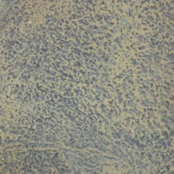 Sunnydaze Decor Sunnydaze 27"H Electric Polystone Seaside Outdoor Wall-Mount Water Fountain -Northlight Shop GUEST dc873c07 cf6d 4ccf 93b2 496e045be9ba