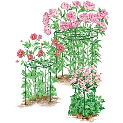 Gardener's Supply Company Grow Through Plant Support | Sturdy Metal Plants Support Frame For Peonies, Rose Ornamental Flower Garden Cage | Wide Top 1 Gardener's Supply Company Grow Through Plant Support | Sturdy Metal Plants Support Frame For Peonies, Rose Ornamental Flower Garden Cage | Wide Top